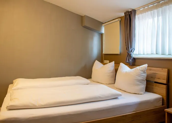 House Alpeneck 3*